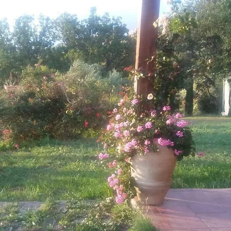 Nel Cilento *