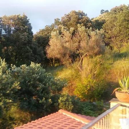 Nel Cilento Ogliastro Cilento