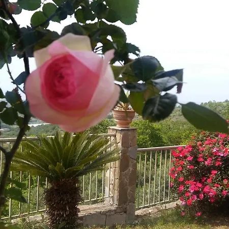 Nel Cilento